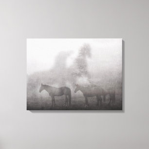 Foggy Morning Horse Canvas Print