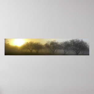 Foggy Morning Panoramic Poster