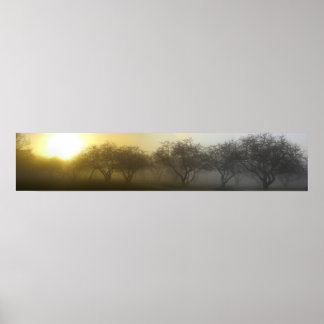 Foggy Morning Panoramic Poster