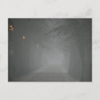 Foggy Morning