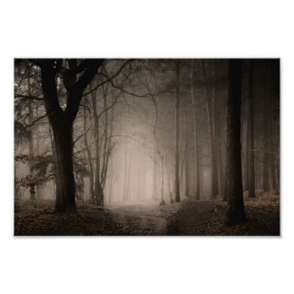 Foggy Morning Rushmere Country Park (0856)  Photo Print