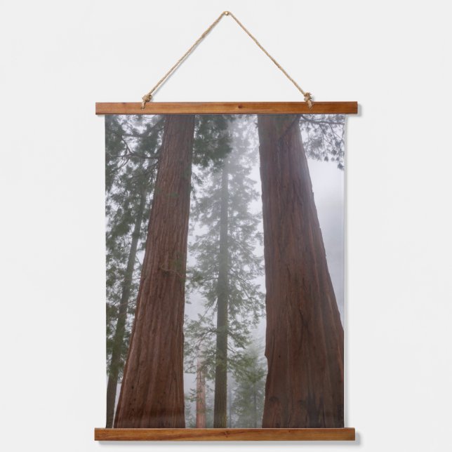 Foggy Morning & Spring Snow Under Giant Sequoia Hanging Tapestry (Front)