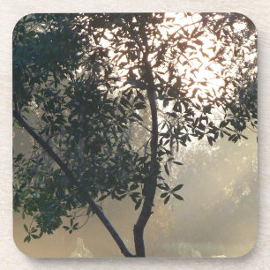 foggy morning sunrise coaster