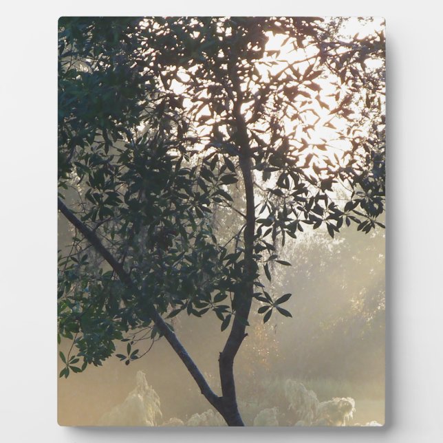 foggy morning sunrise plaque (Front)