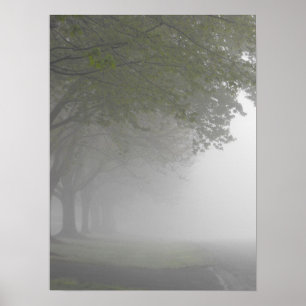 Foggy Mornings 5 Poster