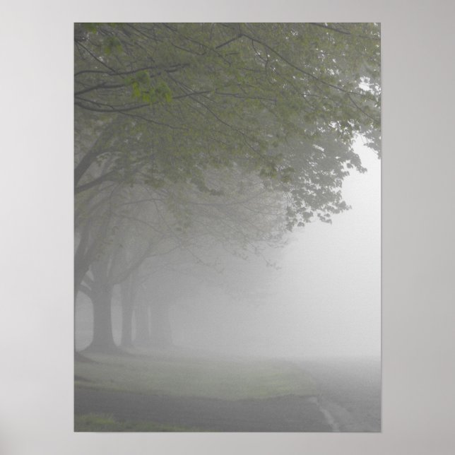 Foggy Mornings 5 Poster (Front)