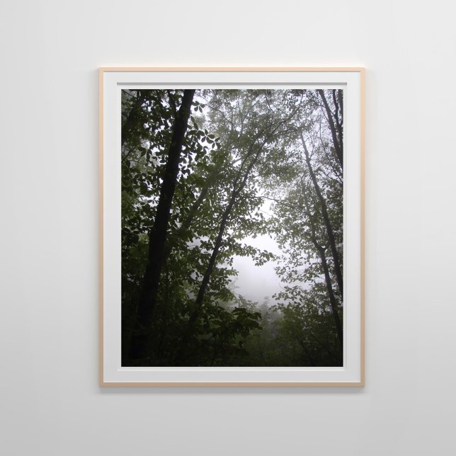 Foggy Pacific Dogwoods Forest Poster (Creator Uploaded)