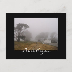 Foggy Point Reyes Postcard