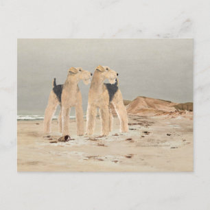 Foggy Seaside Postcard