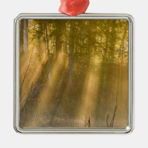 Foggy Sunrise at Tamarac NWR near Detroit Lakes Metal Tree Decoration
