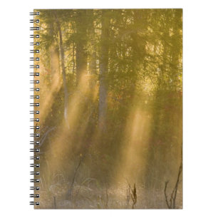 Foggy Sunrise at Tamarac NWR near Detroit Lakes Spiral Notebook