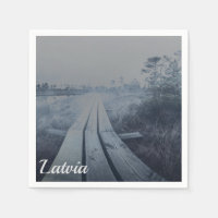 Foggy swamp landscape