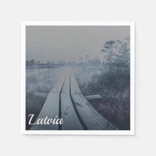 Foggy swamp landscape napkin (Front)