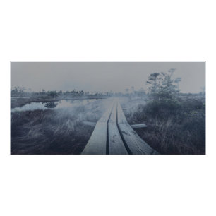 Foggy swamp landscape photo print