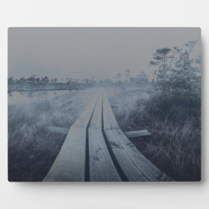 Foggy swamp landscape plaque