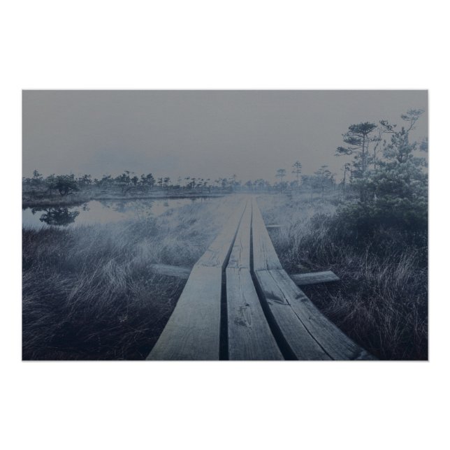 Foggy swamp landscape poster (Front)