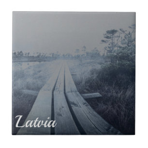 Foggy swamp landscape tile