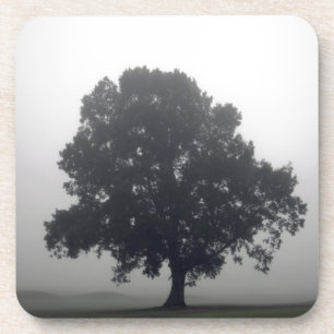 Foggy Tree Coaster