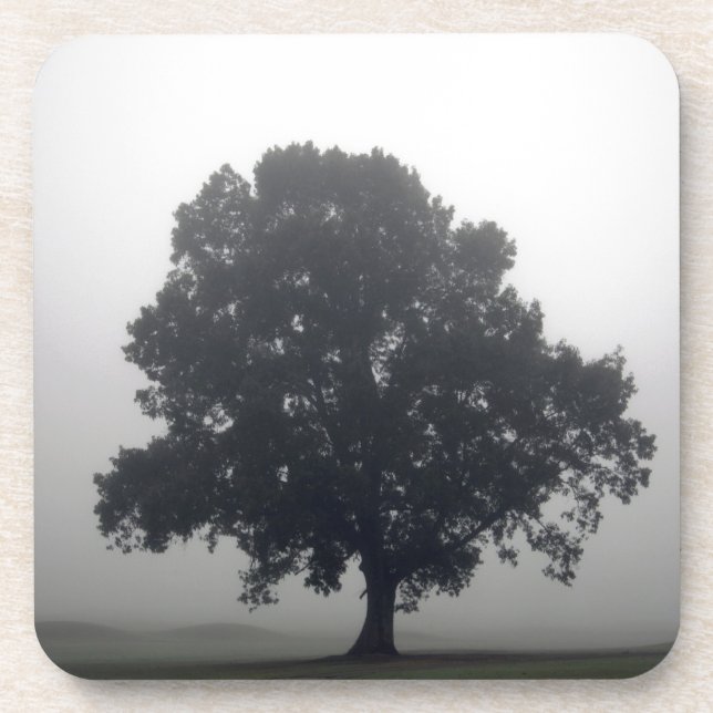 Foggy Tree Coaster (Front)