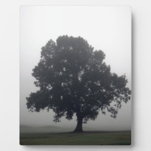 Foggy Tree Plaque
