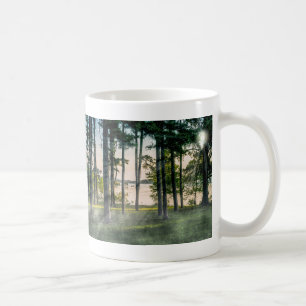Foggy Trees At Table Rock Coffee Mug