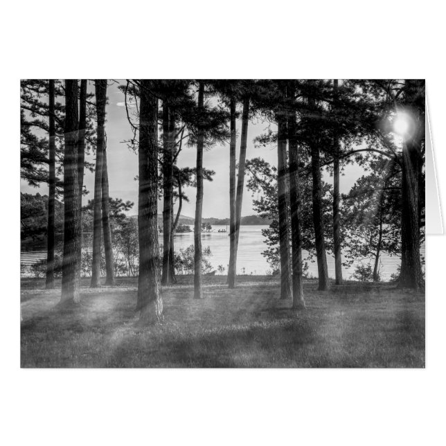 Foggy Trees At Table Rock Grayscale (Front Horizontal)