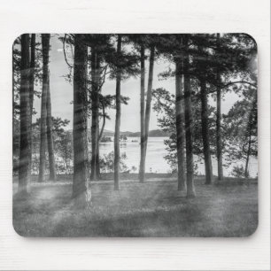 Foggy Trees At Table Rock Grayscale Mouse Pad