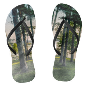 Foggy Trees At Table Rock Jandals