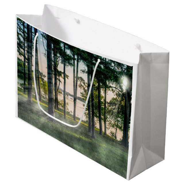 Foggy Trees At Table Rock Large Gift Bag (Front Angled)
