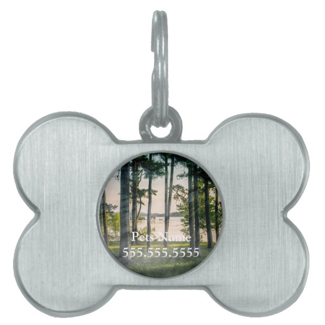Foggy Trees At Table Rock Pet ID Tag (Front)