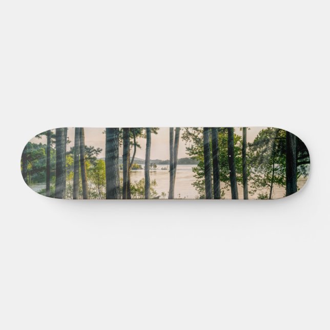 Foggy Trees At Table Rock Skateboard (Horz)