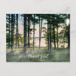 Foggy Trees At Table Rock Thank you Postcard