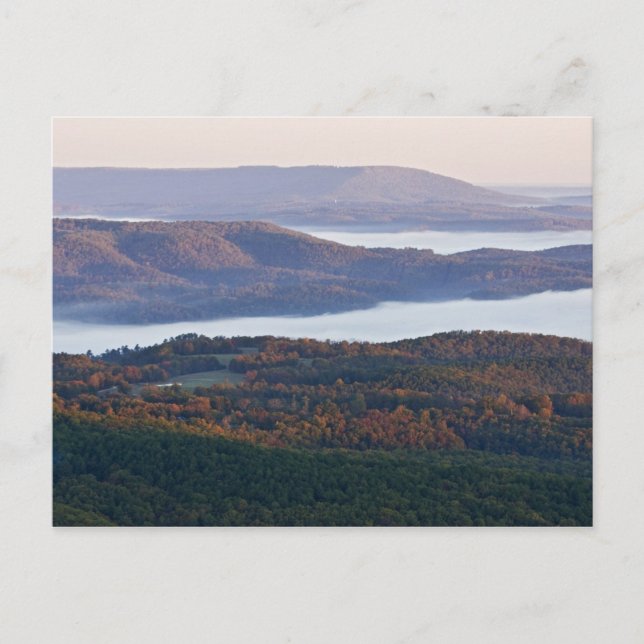 Foggy valleys and fall foliage in Ozark Postcard (Front)