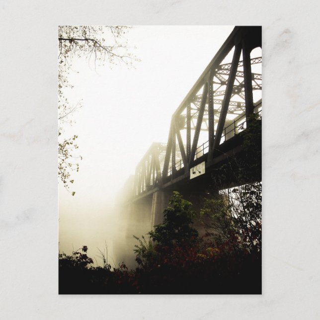 Foggy Waterfront 13 Postcard (Front)