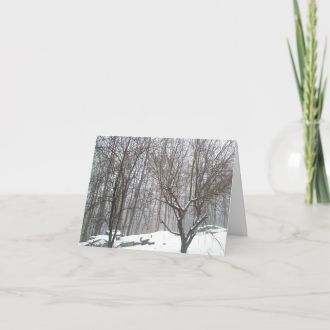 Foggy Winter Day Note Card (Front)