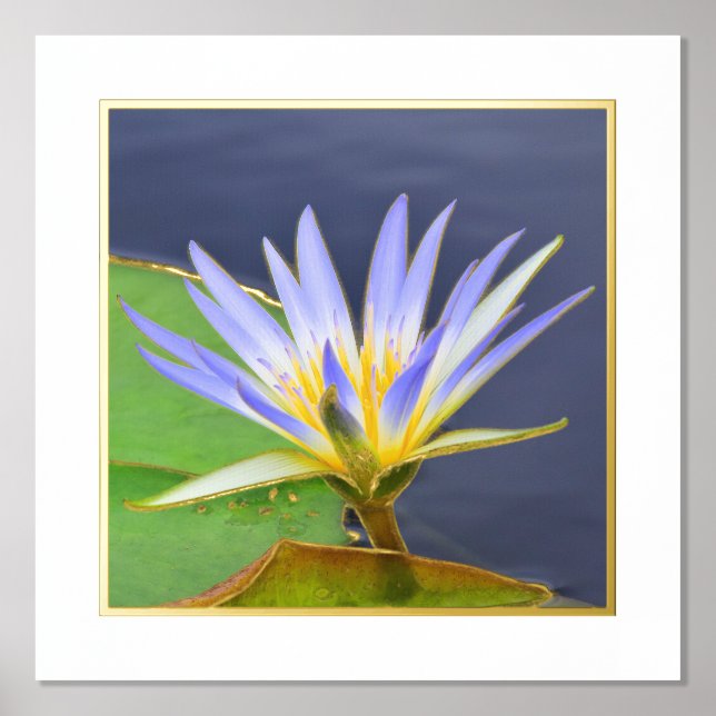 Foil Accent Yellow & Lavender Water Lily Print (Front)