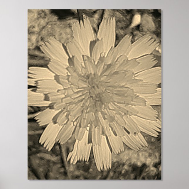 FOIL PRINT POSTER ART AND DESIGN  (Front)