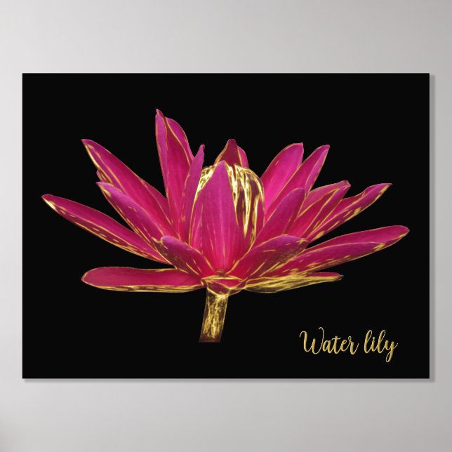 Foil Water Lily Print Poster (Front)