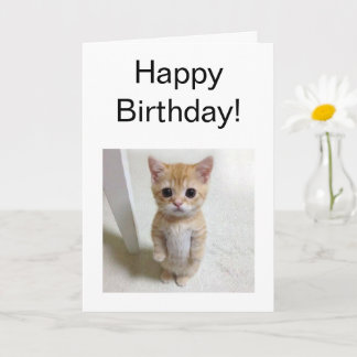 Folded Card El Gato Cat Meme