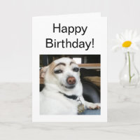 Folded Card Eyebrow Dog Meme