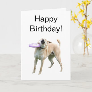 Folded Card Frisbee Dog Meme