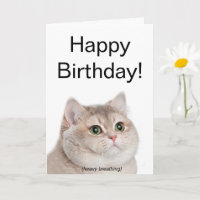 Folded Card Heavy Breathing Cat Meme