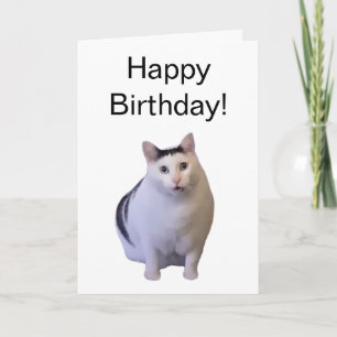Folded Card Huh Cat Meme