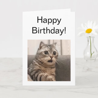 Folded Card Shocked Cat Meme