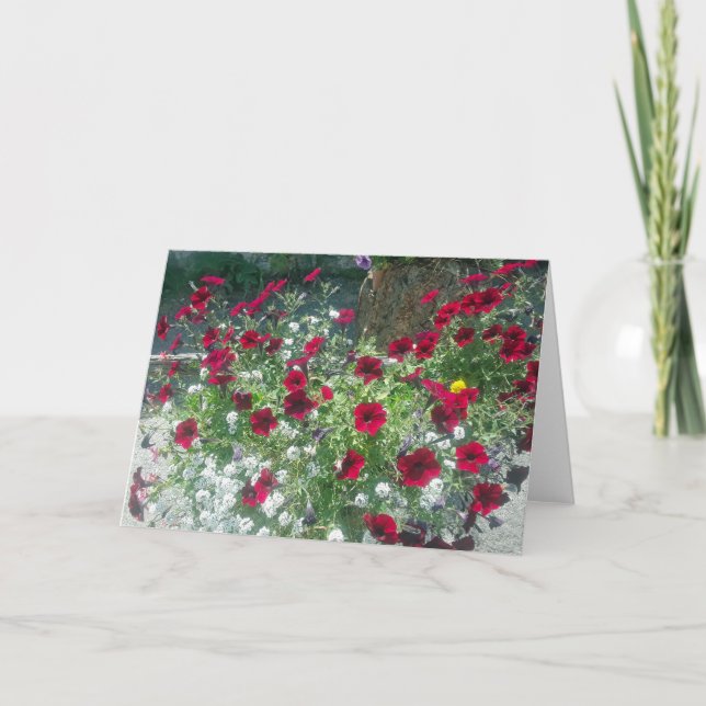Folded Card with Alpine Petunias (Front)