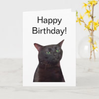 Folded Card Zoned Out Cat Meme