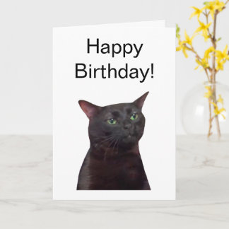 Folded Card Zoned Out Cat Meme