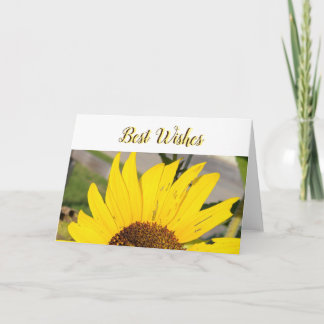 Folded Greeting Card
