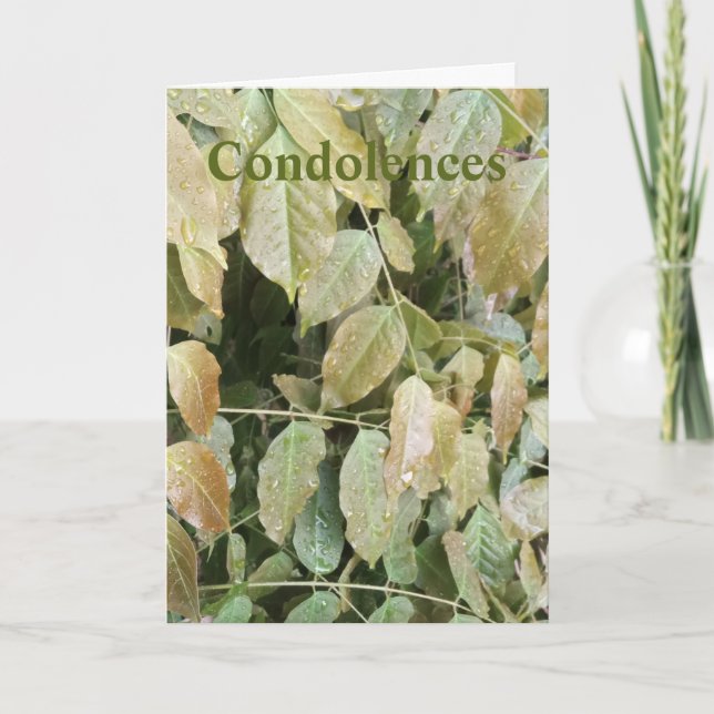 Folded Greeting Card (Front)