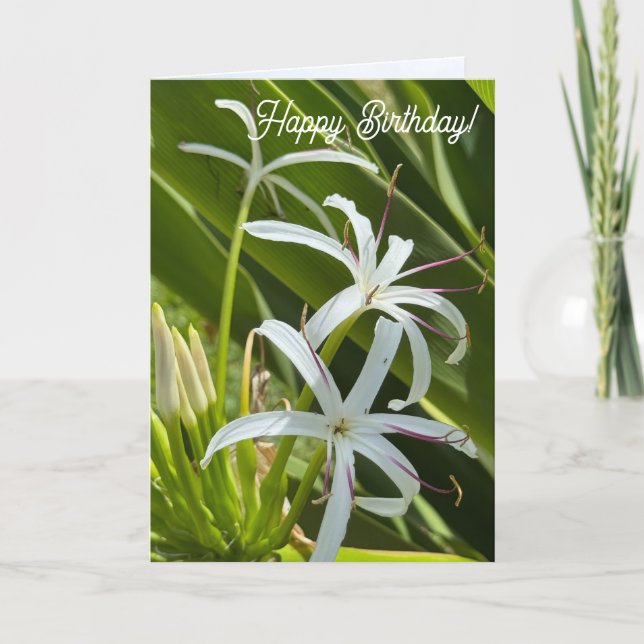 Folded Greeting Card (Front)